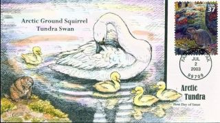 Collins Hand Painted 3802 Artic Ground Squirrel Tundra Swan Artic Tundra photo