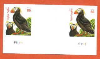 Us Sc 4737 86¢ Puffin Forever Imperf Hor.  Pair With Vert.  Gutter photo