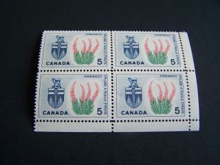 Canada.  428 - 9.  Fire Weeds And Mountain Avens.  Block Of Four. photo