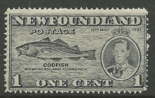 Newfoundland.  1937.  1c Coronation.  Variety Fish Hook Flaw.  Sg: 257b.  Mlh. photo