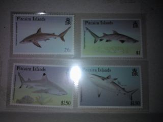 Pitcairn Islands 1992 Sharks + 1988 Fish High Value photo