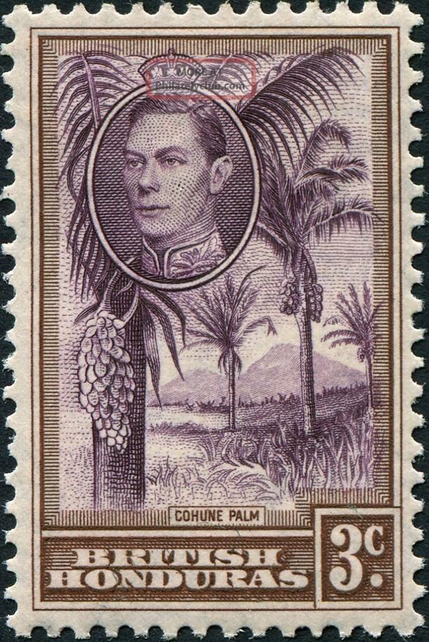 British Honduras 1938 - 47 (kgvi) 3c Purple And Brown Sg152 Cv £2.  00 Mh British Colonies & Territories photo