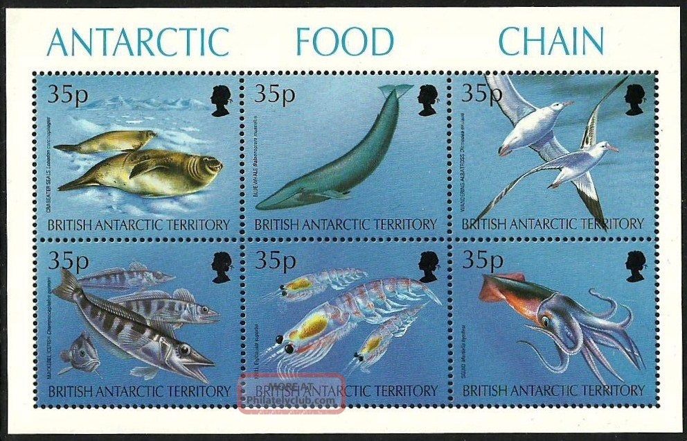 British Antarctic 1994 Birds Penguins Marine Whales Food Chain M/sheet British Colonies & Territories photo