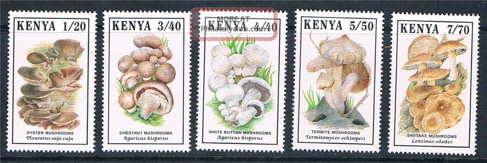 Kenya 1989 Mushrooms Sg 506/10 British Colonies & Territories photo