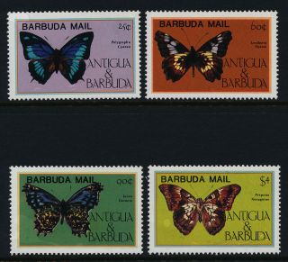 Barbuda 714 - 7 Butterflies photo