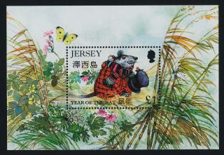 Jersey 746 Year Of The Rat,  Butterfly,  Flowers photo