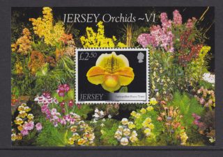 Jersey 2008 Orchids (6th Series) Miniature Sheet Sgms1378 U/mint photo