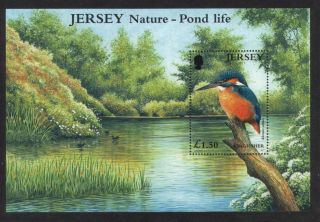 Jersey 2001 Europa Water Pond Life Miniature Sheet U/mint photo