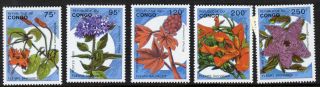 Congo Pr 1016 - 20 - Wild Flowers photo
