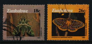 Zimbabwe 530 - 1 Insect,  Moth photo