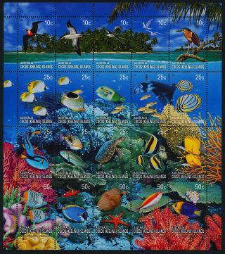 Cocos Islands 344 Marine Life,  Fish,  Coral,  Birds,  Turtle photo