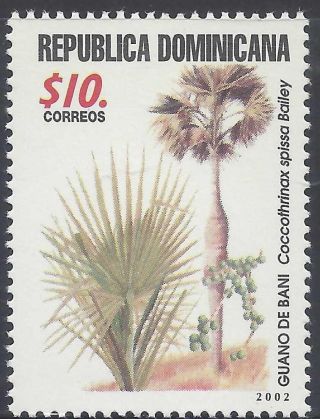 Dominican Endemic Palms Sc 1392 2002 photo