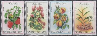 Specimen,  St.  Vincent Sc829 - 32 Pepper,  Nutmeg,  Ginger photo