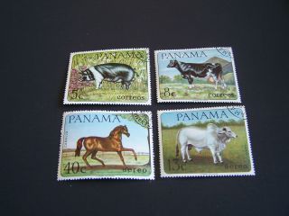 Panama.  475 A - C.  C - 353 - 6.  Domestic Animals. photo