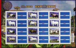 9 - 33f2 Brazil 2009 - Exposure Zebu,  Cattle,  Fauna,  Animals,  Personalized photo
