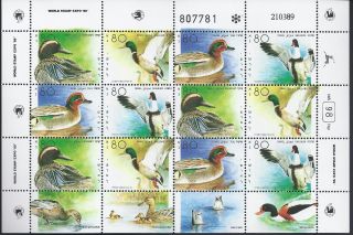 1989 Israel - Ducks In The Holyland,  Full Sheet, photo