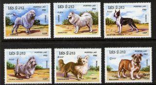 Laos 405 - 10 Dogs photo