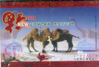 China Dinosaur Fossil Prehistoric Animal Fauna Stamped Postcard 012 photo