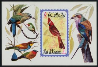 Ras Al - Khaima Mibk 108 Birds photo