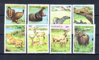 Congo Animals photo