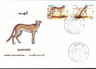 Algeria 2005 - Cheetah 