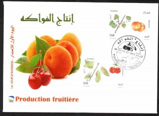 Algeria 2013 Fruits 