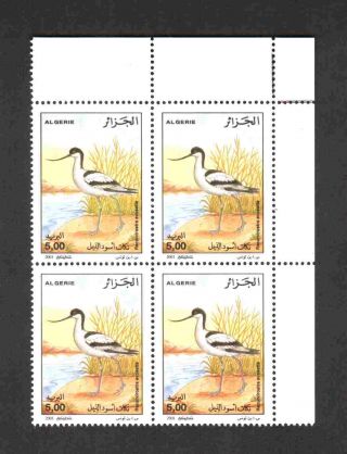Algeria 2001 - Water Birds 