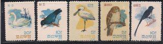Corea - 1962 Birds - Vf 402 - 6 photo