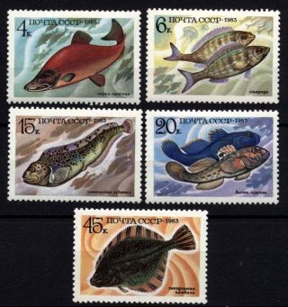 9549 Russia 1983 Fishes photo