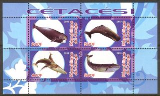 2010 Whales Sheet Of 4 photo