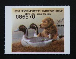 Sale: (il19) 1993 Illinois State Duck Stamp photo
