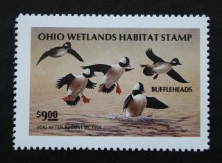 Sale: (oh12) 1993 Ohio State Duck Stamp photo