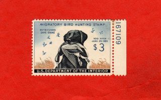 Rw26 Plate No.  Single,  1959 Federal Duck Stamp; Maynard Reece,  Black Lab photo