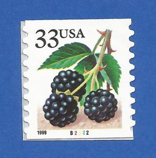 Us 3304 Blackberries Single Stamp With Plate Never Hinged photo