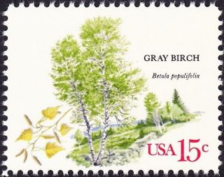 Us - 1978 - 15 Cents Gray Birch American Trees Commemorative Issue 1767 Nh Vf photo