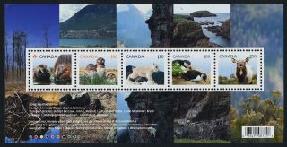 Canada Issue S/s Baby Animals,  Puffin,  Mountain Goat,  Wapiti,  Owl photo