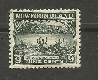 Newfoundland Scott 138 From 1923 photo