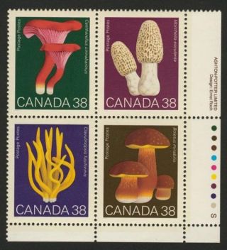 Canada 1248a Bottom Right Block Mushrooms photo