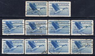 Canada 320 (10) 1952 7 Cent Blue Canada Goose 10 photo