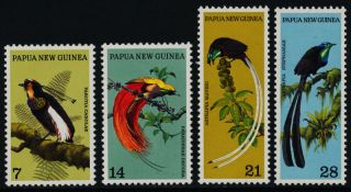 Papua Guinea 365 - 8 Birds photo