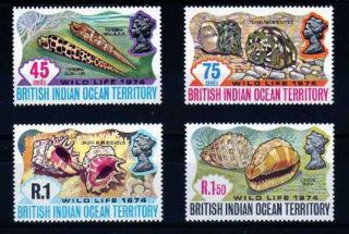 British Indian Ocean Territory 1974 Wildlife 2nd Series Shells,  Sg 58 - 61 U/mint photo