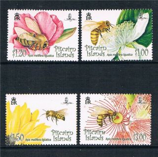 Pitcairn Is 2008 Flowers & Bees Sg 763/6 photo