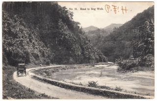 Jamaica Horse Carriage On Road To Bog Walk Duperly Postcard To Usa 1907 Cover photo