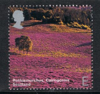 Rothiemurchus,  Cairngorms Scotland - Illustrated On 2006 British Stamp - Nh photo