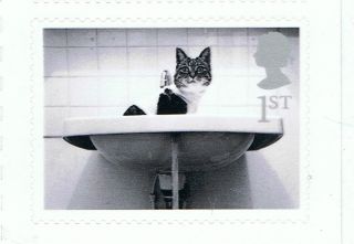 Cat In Sink Image On 2001 Self - Adhesive British Stamp - Nh - Rare photo