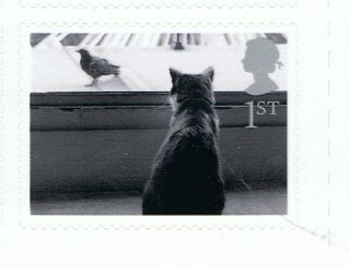 Cat At Window Image On 2001 Self - Adhesive British Stamp - Nh - Rare photo