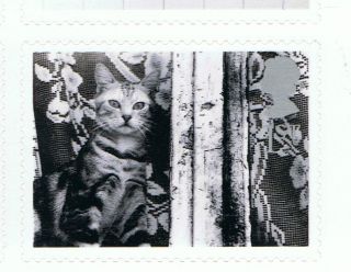 Cat Looking Out Window Image 2001 Self - Adhesive British Stamp - Nh - Rare photo