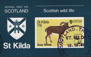 St Kilda 1969 National Trust Soay Sheep Mini - Sheet photo