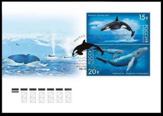 2012.  Russia.  Fauna Of Russia.  Marine Life.  Whales Fdc photo