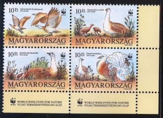 Hungary - 1994.  World Wildlife Fund / Otis Tarda In Four Block Mi:4282 - 85 photo